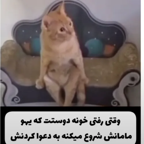 وی احتمال بودنش در آخر هفته ها بخاطر مدرسه مث سگ کم است 🥺