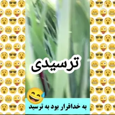 ترسیدی  ................فالوکن