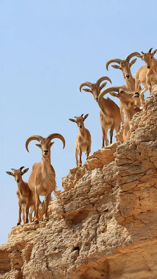 زیبایی های کوهستان