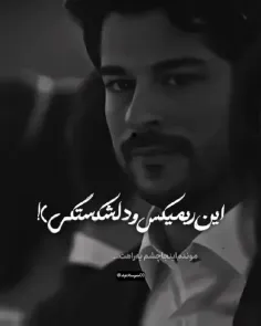 فالو کنید 