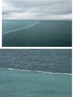 دو دریا به هم می رسند با یک دیگر ترکیب نمی شوند آب دو دری