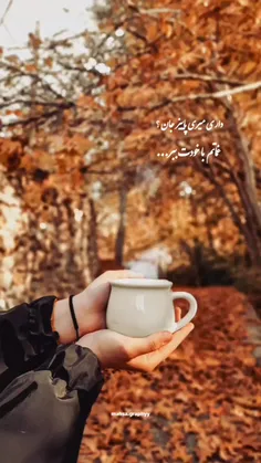 در اوجِ  ناامیدیِ روحم ، 