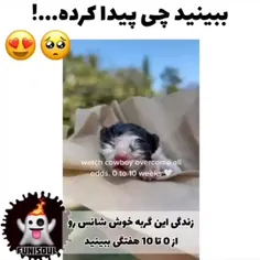 منم میخوام 🥺🥺🥺😭😭😭😭