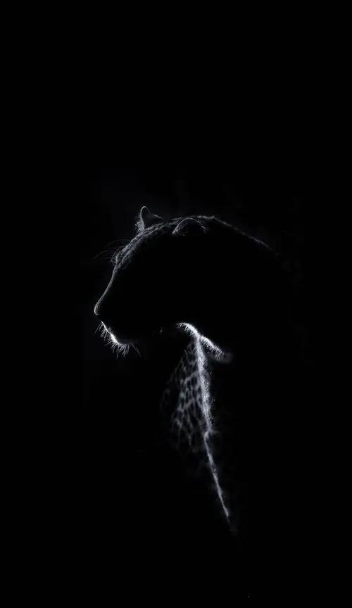 ندونسته دلمو به غریبه سپردم عکس