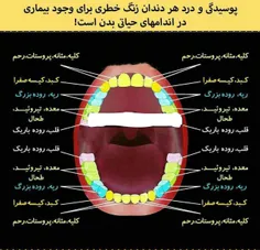 درد هر دندان و پوسیـــــدگی آن زنگ خطری است برای وجود بیم