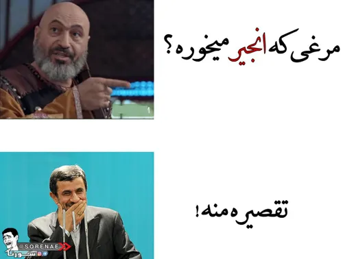 + مرغی که انجیر میخوره؟