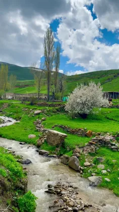 زندگی دوباره سبز خواهد شد این یک وعده نیست این ذات زندگیس