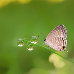 اگرقرار باشد خوبی ما، وابسته به 