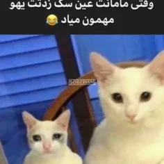 ازین حق تر نداریم🤣🤣🤣