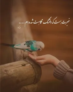 #عکس_نوشته