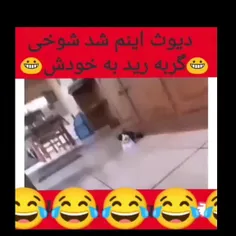 پشماش ریخت😁🤣