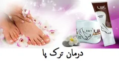 کرم ترک پا عش