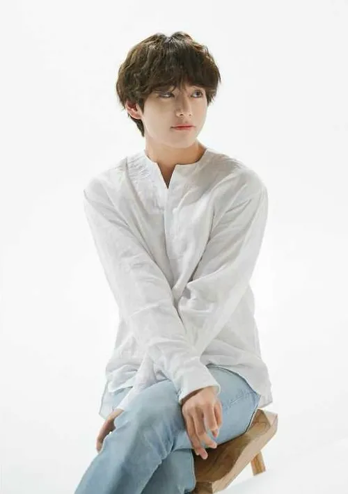 bts v