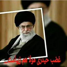 وقتی امام خامنه ای می فرماید ،