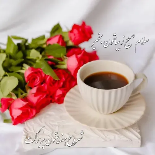 🌹ســـلام