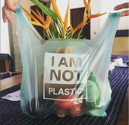 در اندونزی کیسه پلاستیکی