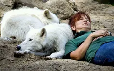 خوابیدن با گرگ