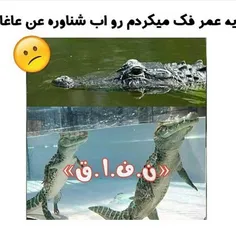 دیـوث:|