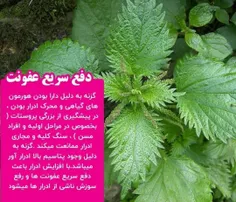 🍏#دفع_سریع_عفونت 