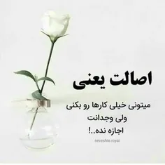 گوناگون amirmoradizadeh 28825913