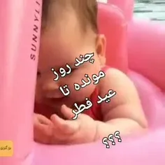 ببینم، چند روز 