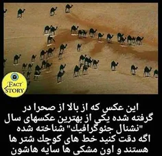 باحاله