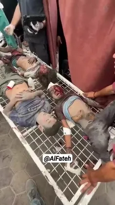 قتل عام‌ها در غزه مستمر ادامه داره و رئیس‌جمهور ۱۶ میلیون