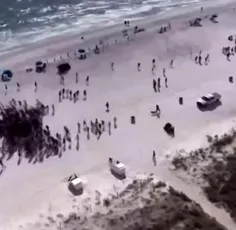 تو کالیفرنیا پلیس با سگ موادیاب رفته تو ساحل، واکنش ملتو 
