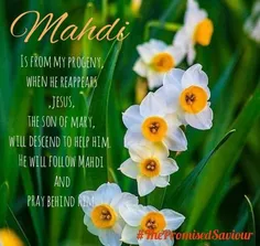 Mahdi is from my progeny, when he reappears, jesus, the s