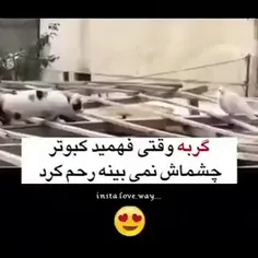 رحم کنیم بهم نه اینکه از حیوانات یاد بگیریم 