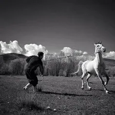 A man training a horse at a field in #Ardabil, #Iran. Pho