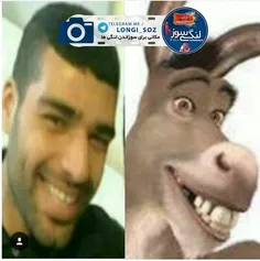 خارشباهت