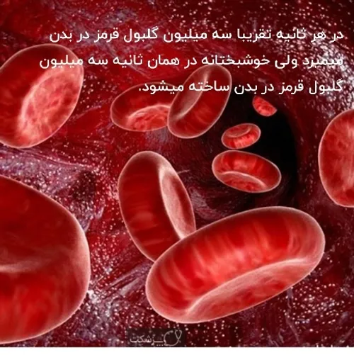در هر ثانیه تقریبا سه میلیون گلبول قرمز در بدن میمیرد ولی
