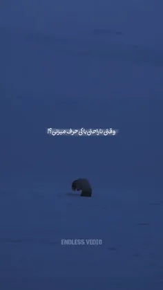 motimm 69892221