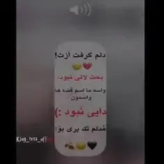 فالو فالو 