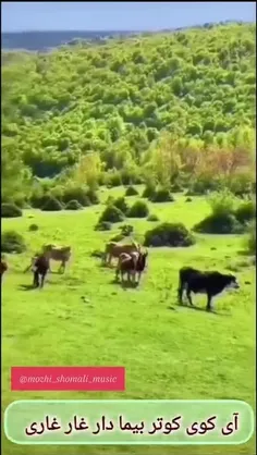 یا نباشید برای یکی 