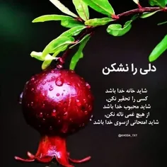 چه خوب گفته مولانا