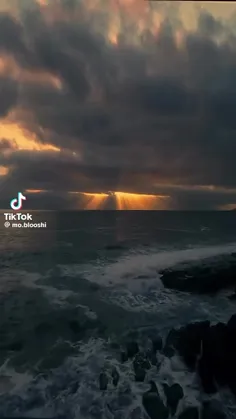 نفهمیدی چقد دوست دارم❤