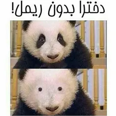 خخخخخ