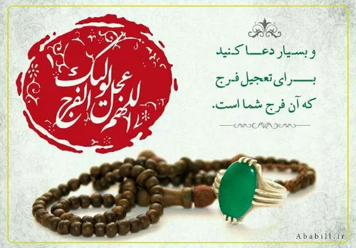 اطاعت از امام زمان ( علیه السلام )