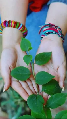 جاری می‌شوی هر صبح