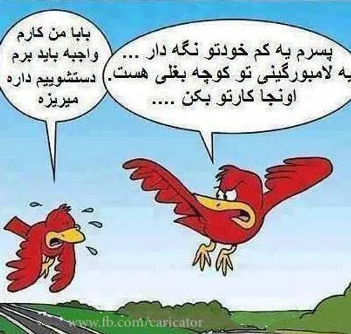 طنز و کاریکاتور elikh 845253 - عکس ویسگون