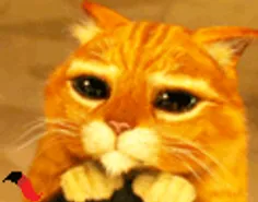 منه بیچاره..