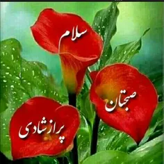 شعر و ادبیات pimanjani 22376072