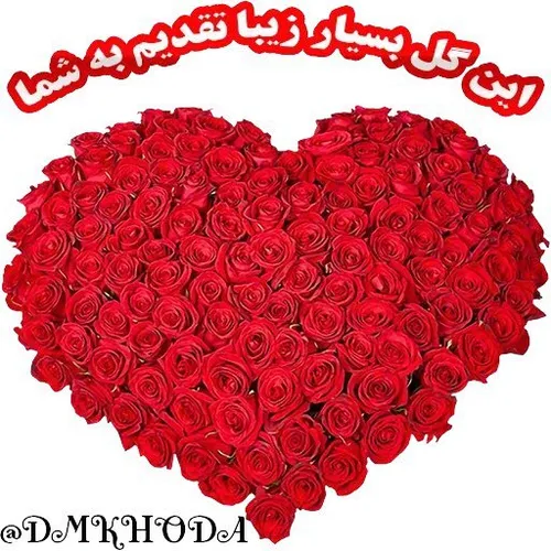 🌷 آرزو دارم عصر زیباتون