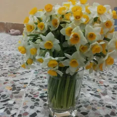 گل های من