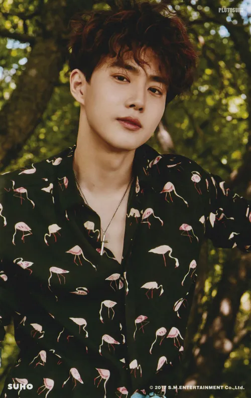 suho exo