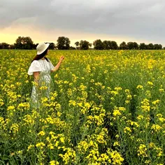 یکی درد و یکی درمان پسندد 