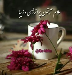 🌸گذر زمان بر آنها که