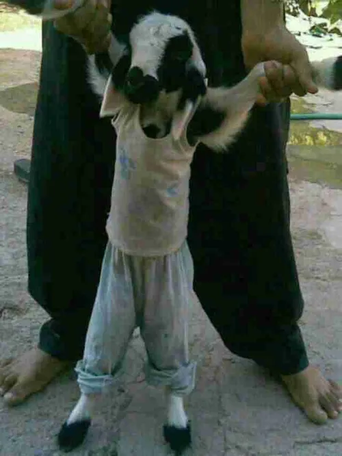 لطفا نظرتون را بنویسید. باتشکر